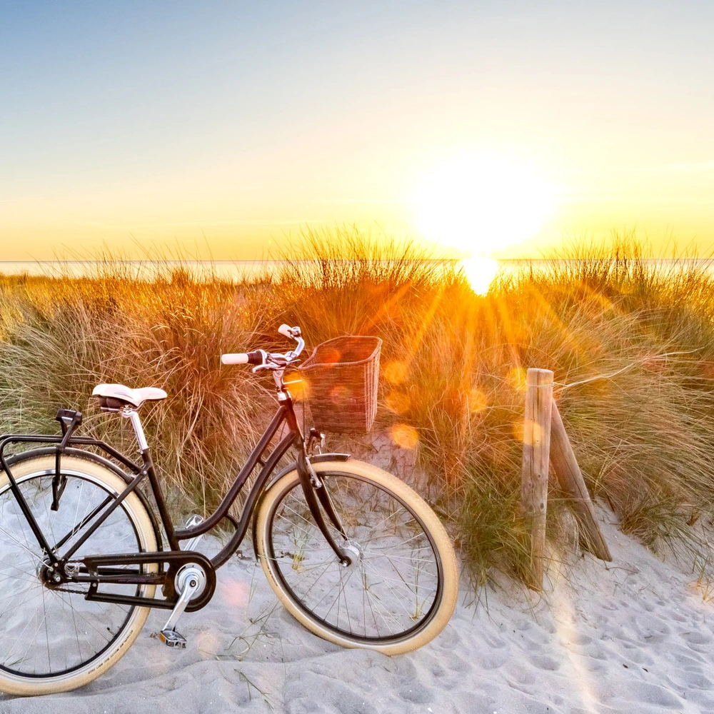 Fahrrad steht am Strand in den Dünen im Sonnenuntergang