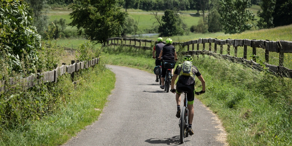 Donauradweg in Baden-Württemberg Gruppe Fahrradfahrer auf dem Donauradweg in Baden-Württemberg