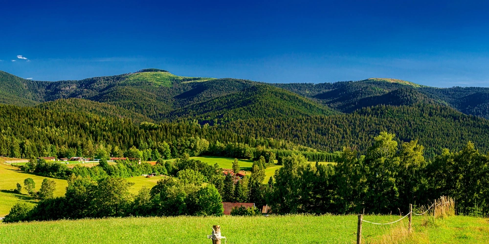 Bayerischer Wald mit dem Gipfel des Großen Arber in Bayern