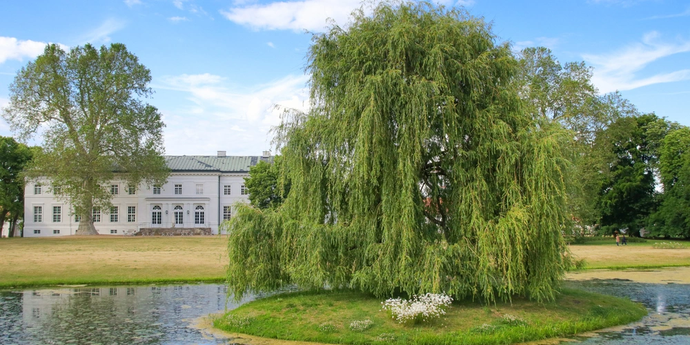 Schloss Neuhardenberg Schloss Neuhardenberg