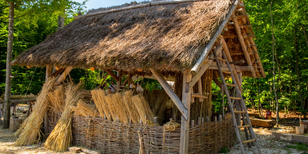 Gebäude mit Reetdach und gebundenem Schilf auf der Klosterbaustelle Campus Galli bei Meßkirch 