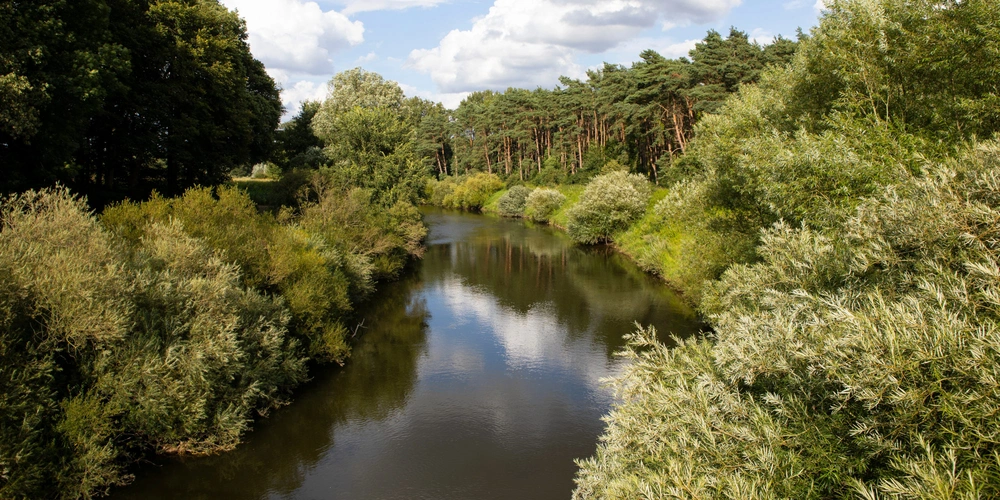 Die Ems fließt durch grüne Landschaft bei Emsdetten