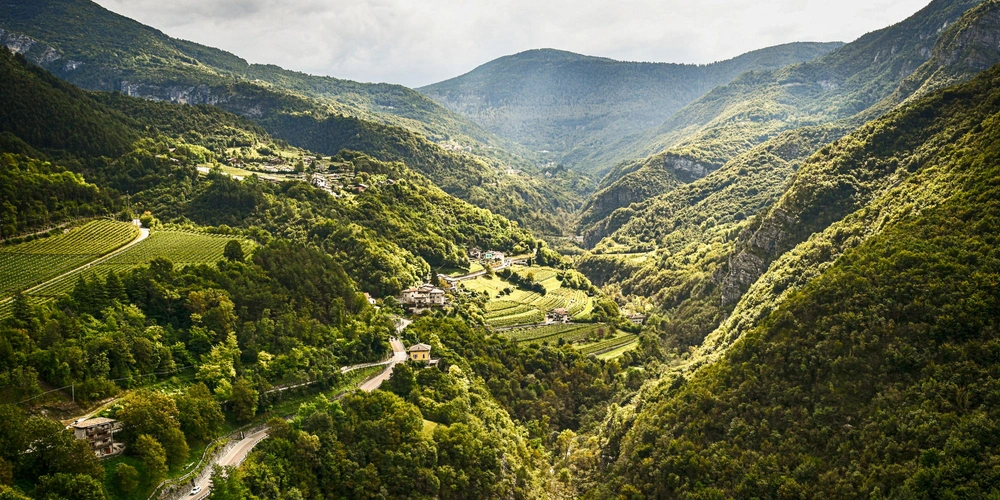 Etschradweg  Grüne Natur auf dem Etschradweg