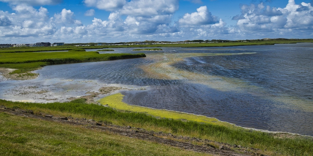 Rantumbecken Sylt