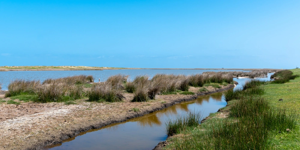 Ein ruhiger Flusslauf mit Gräsern und blauem Himmel im Hintergrund.