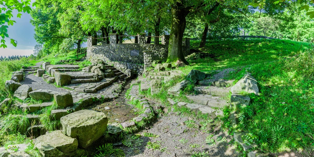 Panoramablick auf einen grünen Park mit Steinen und Bäumen.