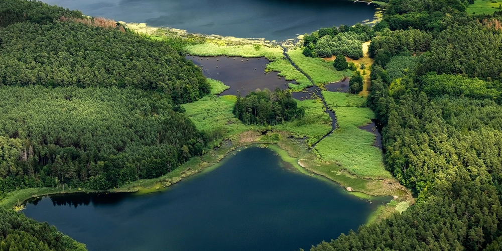 Havelquelle Luftaufnahme einer grünen Landschaft mit Seen und Wäldern.