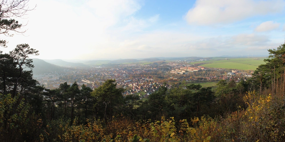 Panorama einer Stadt umgeben von Wäldern und Wiesen unter einem bewölkten Himmel.