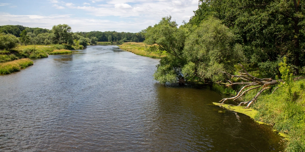 Fluss Mulde Ein ruhiger Fluss umgeben von grünen Ufern und Bäumen unter blauem Himmel.