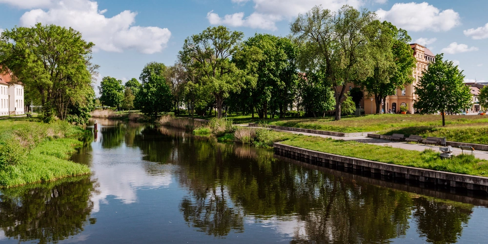 Fluss mit spiegelndem Wasser, umgeben von Bäumen und Gras, unter blauen Himmel.