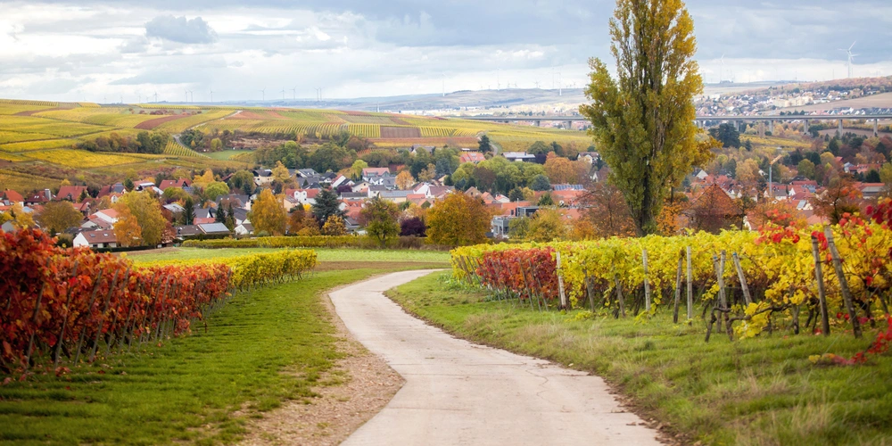 Alzey Weinheim im Herbst 