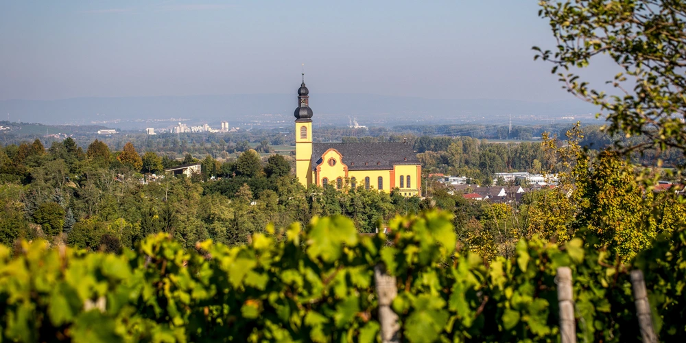 Pfarrkirche St. Gereon in Nackenheim 