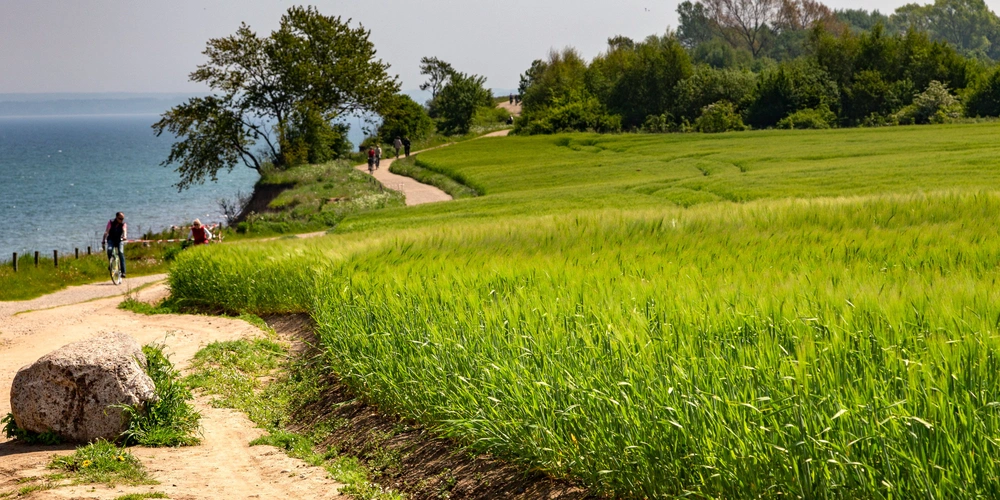 Grünes Feld mit Wanderweg und Bäumen am Ufer eines Gewässers.