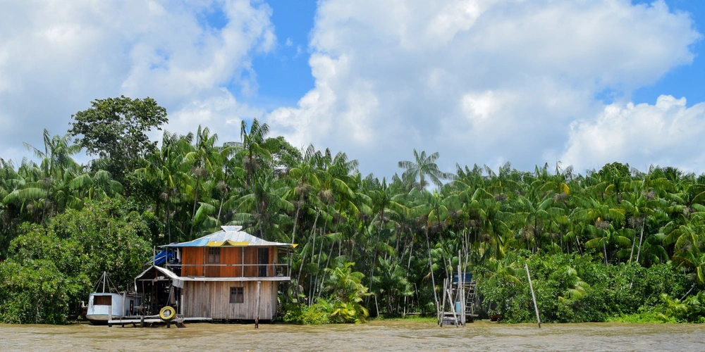 Holzhütte am Ufer mit Palmen und blauem Himmel im Hintergrund.