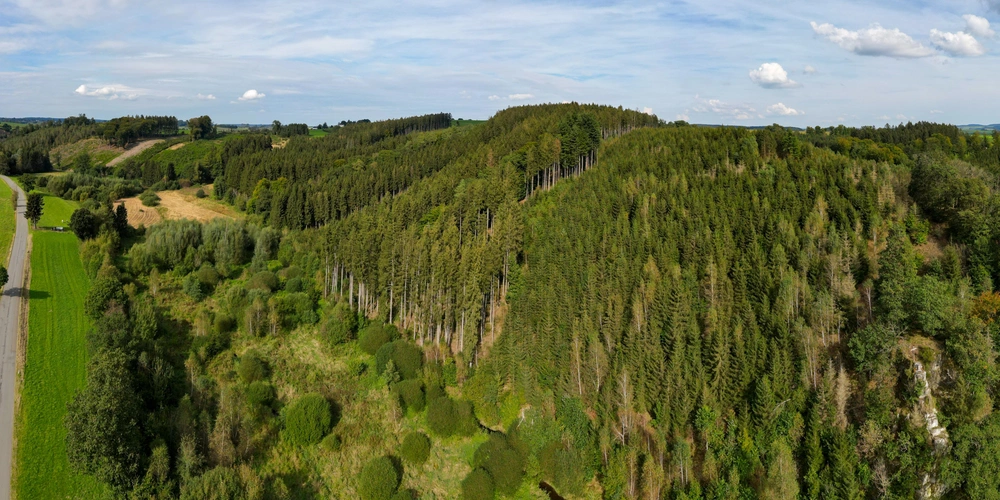 Luftaufnahme einer bewaldeten Hügellandschaft mit grünen Wiesen und blauem Himmel.