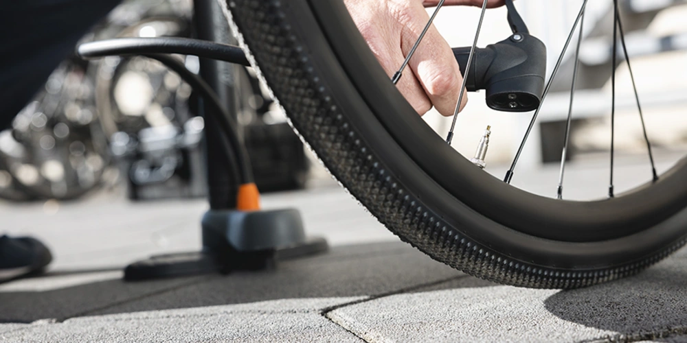 Bike Studie 2024