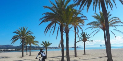 Ein Mann fährt zwischen Palmen und Sand Fahrad