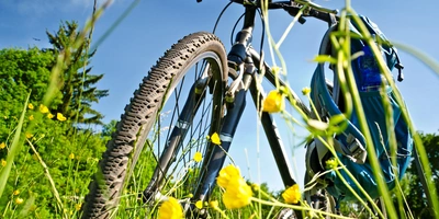 Ballonreifen - Vergleich zum klassischen Reifen Fahrrad steht auf einer Blumenwiese