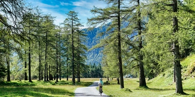 Radlerin fährt auf einem Radweg durch einen Wald