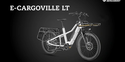 Bergamont E-Bike