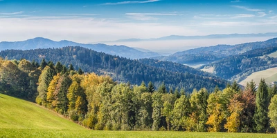 Blick auf den Schwarzwald mit einer grünen Hügellandschaft, Bäumen und Bergen im Hintergrund