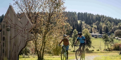 Die Blockline führt Sie durch die wunderschöne Natur im Erzgebirge zwei Fahrradfahrer fahren durch Wiese über Radweg