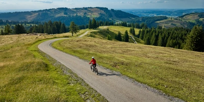 Radfahrer auf abschüssigem Weg durch grüne Hügel und Wälder unter blauem Himmel.