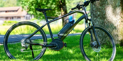 Zu verkaufendes E-Bike steht auf Grünfläche vor Baum.