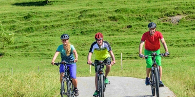 Zur E-Bike Sicherheit gehört auch ein Diebstahlschutz für das Pedelec. Drei Personen fahren mit Fahrrad über den Radweg durch einer Wiese.