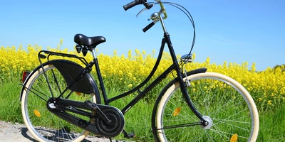 Hollandrad Hollandrad in der Natur