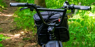 Schwarz lackiertes Fahrrad mit Körbchen, umgeben von üppigem grünen Unterholz.