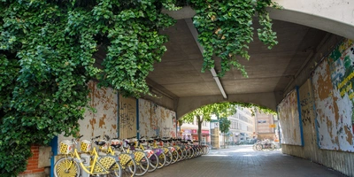 Blick durch einen schattigen Durchgang mit einer Reihe von Fahrrädern und begrünten Wänden.