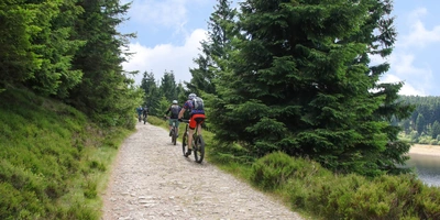 Radfahrende im Nationalpark Harz