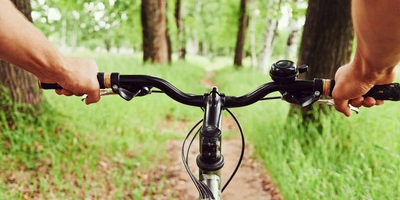 Ein Fahrradlenrad wird von einer Person im Wald benutzt.
