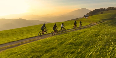 Fünf Radfahrer fahren auf einem Feldweg durch eine grüne Landschaft bei Sonnenuntergang.