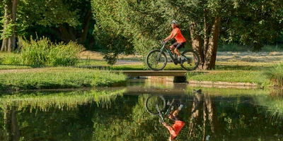v Frau fährt im Wald Fahrrad