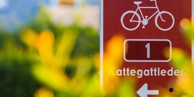 Radwegweiser mit der Nummer 1, umgeben von unscharfem grünen Hintergrund.