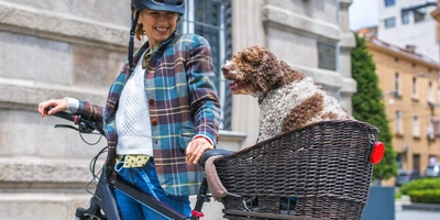 Lastenfahrrad Hund - so funktioniert! Eine Frau transportiert ihren Hund auf dem Fahrrad