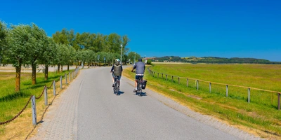 Mönchsweg – mit dem Rad durch Deutschlands Norden Zwei Radfahrer auf einem sonnigen Weg, umgeben von grünen Feldern und Bäumen.