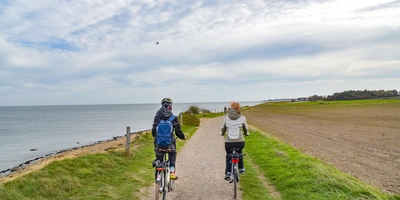 Zwei Personen fahren auf einem Nordsee-Radweg Fahrrad