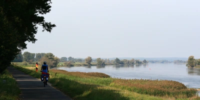 Entdecke den Oder-Neiße-Radweg Radfahrer auf dem Oder-Neiße-Radweg entlang eines ruhigen Flusses mit grüner Ufervegetation.
