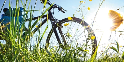 Ein Fahrrad im Rasen