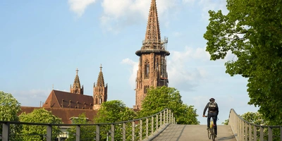 Ein Radfahrer fährt durch die Münster Landschaft 