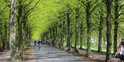 Fahrradfahren fahren auf einer Promenade in Münster 