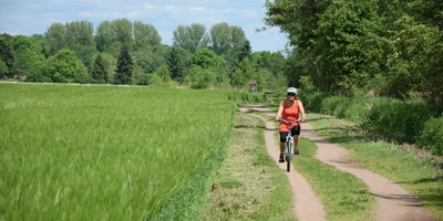 Radtouren im Münsterland: Natur, Schlösser & Traumrouten Frau in orangefarbener Kleidung radelt auf einem Weg entlang einer Wiese.