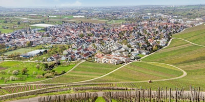 Blick auf eine Wohnsiedlung, umgeben von Weinbergen und grünen Hügeln.