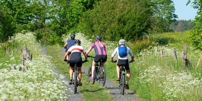 Radfahrende fahren durch den Westerwald in Rheinland-Pfalz