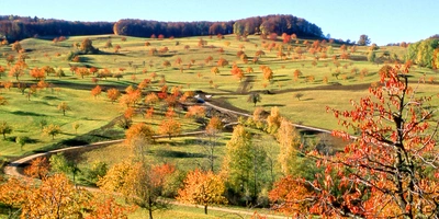Rhönradweg: Etappen, Streckenverlauf & Tipps für die Tour Herbstliche Landschaft mit bunten Bäumen und sanften Hügeln.