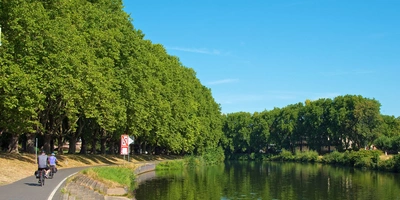 Entdecke den Saar-Radweg Ein sonniger Tag am Fluss, umgeben von grünen Bäumen und Radfahrern am Ufer.