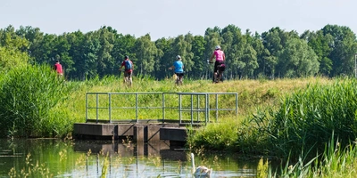 Entdecke den Spreeradweg Menschen fahren mit dem Fahrrad durch den Spreewald neben einem Gewässer, umgeben von üppigem Grün.
